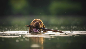 Schloss Krugsdorf Golf & Hotel - Hotel-Außenansicht