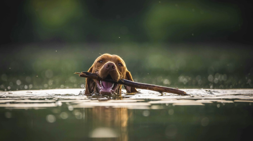 Schloss Krugsdorf Golf & Hotel - Hotel-Außenansicht