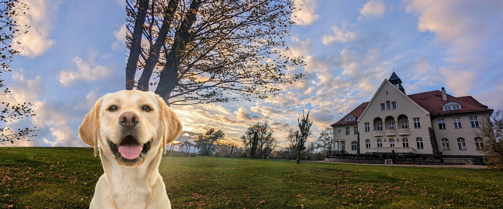 Schloss Krugsdorf Golf & Hotel - Hotel-Außenansicht