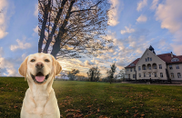 Schloss Krugsdorf Golf & Hotel - Hotel-Außenansicht