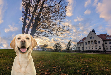 Schloss Krugsdorf Golf & Hotel - Hotel-Außenansicht, Quelle: Schloss Krugsdorf Golf & Hotel