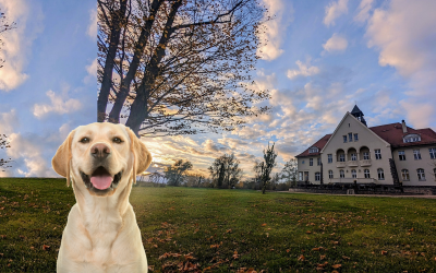 Schloss Krugsdorf Golf & Hotel - Hotel-Außenansicht