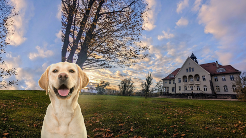 Schloss Krugsdorf Golf & Hotel - Hotel-Außenansicht