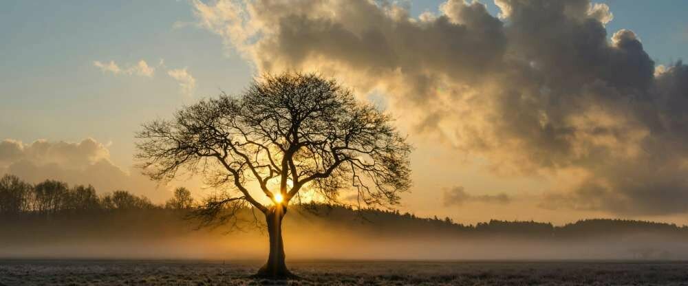 Winterzauber in Schloss Krugsdorf