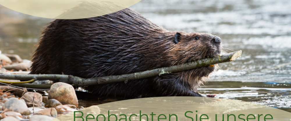 Schloss Krugsdorf Golf & Hotel - Hotel-Außenansicht