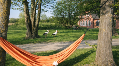 Schloss Krugsdorf Golf & Hotel - Terrasse/Außenbereich
