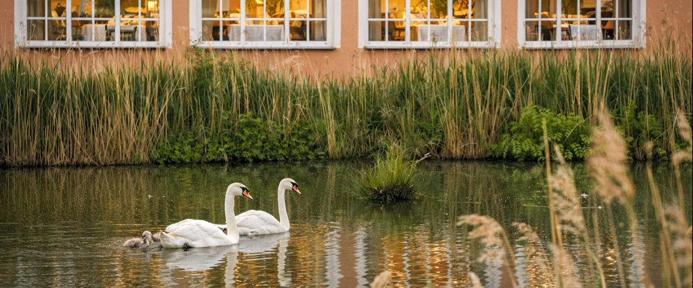 Schloss Krugsdorf Golf & Hotel - Terrasse/Außenbereich