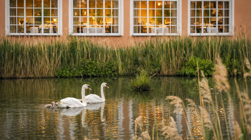 Schloss Krugsdorf Golf & Hotel - Terrasse/Außenbereich