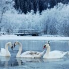 Schlosshotel Fürstlich Drehna - Sonstiges, Quelle: (c) travdo hotels & resorts GmbH
