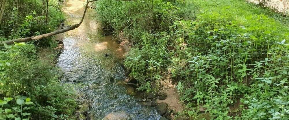 Schlosshotel Landstuhl - Umgebung