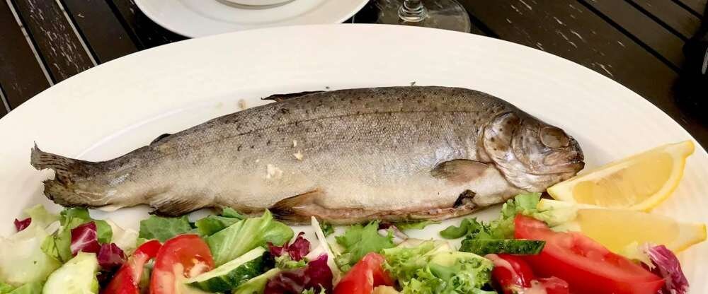 Schlosshotel Wiechlice - Küche