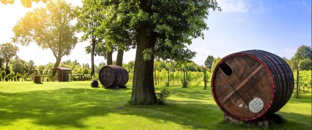 Schlosshotel Wiechlice - Umgebung