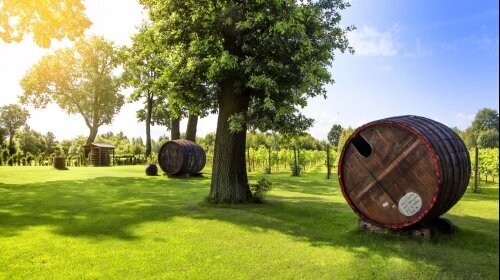 Schlosshotel Wiechlice - Umgebung