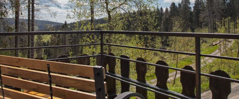 Schöne Asten Resort Winterberg - Zimmer