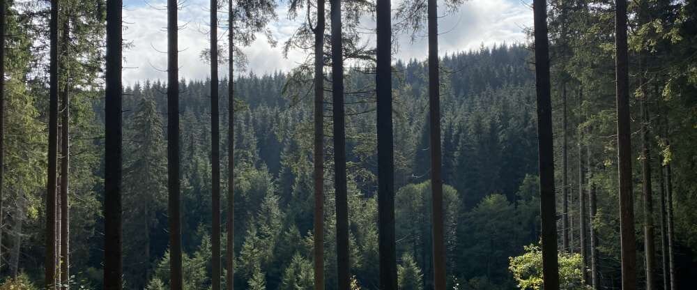 Schöne Asten Resort Winterberg - Zimmer