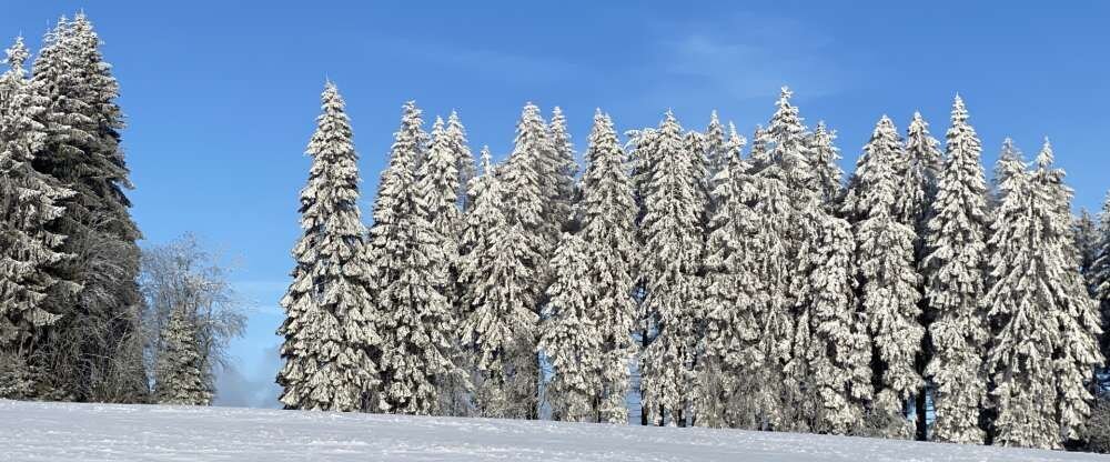 Schöne Asten Resort Winterberg - Zimmer