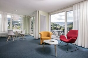 SCHWARZWALD PANORAMA - Zimmer