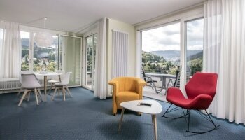 SCHWARZWALD PANORAMA - Zimmer
