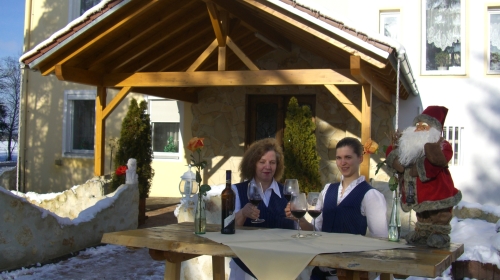 Seebauer Hotel Gut Wildbad - Terrasse/Außenbereich