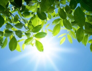 Array, Quelle: SEEHOTEL Brandenburg a.d. Havel