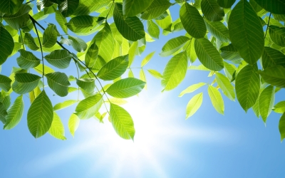 SEEHOTEL Brandenburg a.d. Havel - Hotel-Außenansicht