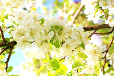 Array, Quelle: SEEHOTEL Brandenburg a.d. Havel