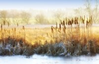 SBB - Winter