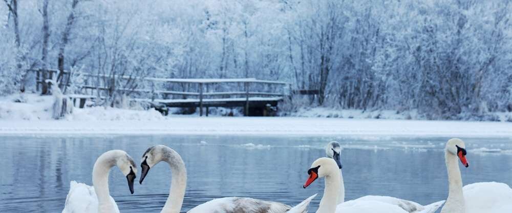 SBB - Winter