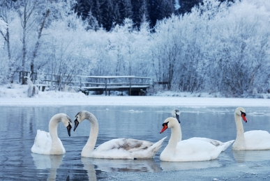 Array, Quelle: SEEHOTEL Brandenburg a.d. Havel