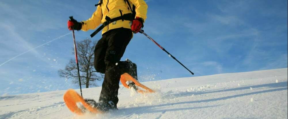 Seehotel Hartung OHG - Umgebung