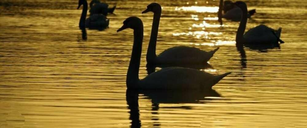 Seehotel Luisenhof - Umgebung