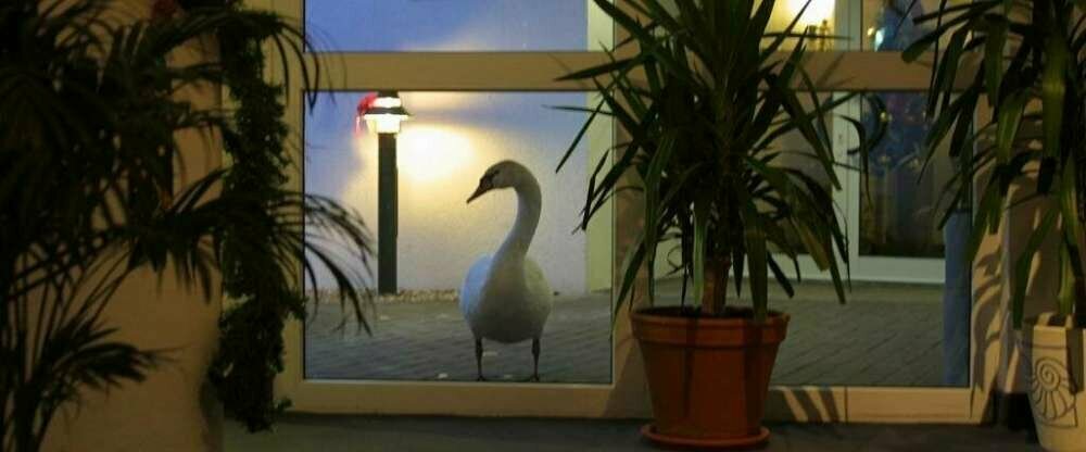 Seehotel Luisenhof - Umgebung