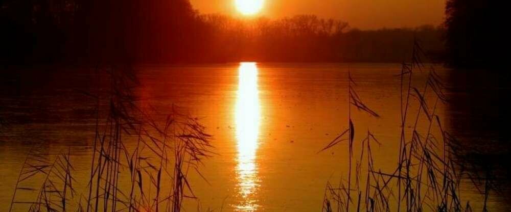 Seehotel Luisenhof - Umgebung