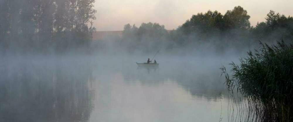 Seehotel Luisenhof - Umgebung