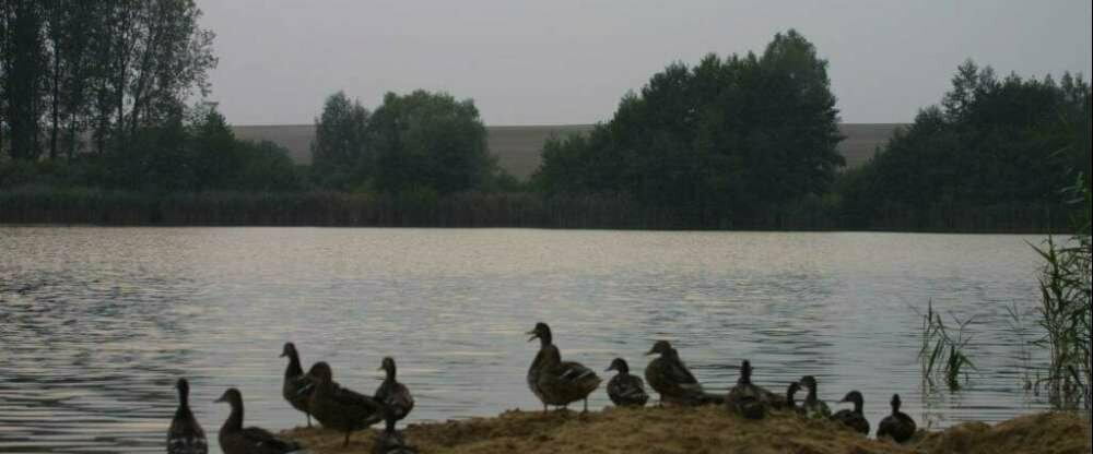 Seehotel Luisenhof - Umgebung