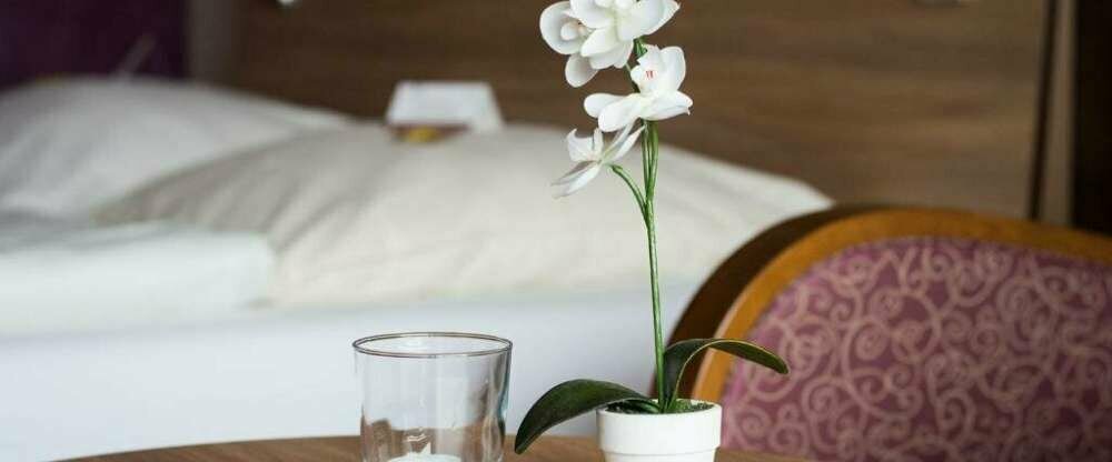 Seehotel Schwanenhof - Zimmer