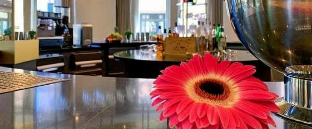 SEETELHOTEL Ostseehotel Ahlbeck - Bar/Disco