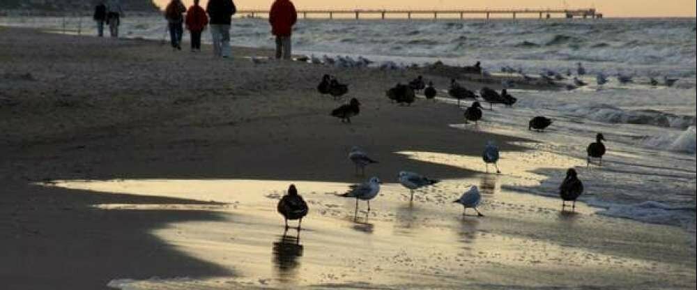SEETELHOTEL Ostseehotel Ahlbeck - Umgebung