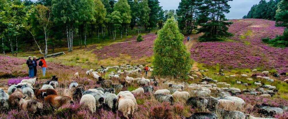 Simonshof - Hotel-Außenansicht