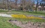 In der Umgebung können Sie verschiedene Kurparks kennenlernen: Schieder, Bad Pyrmont, Bad Lippspringe, Bad Salzuflen,.....