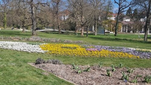 In der Umgebung können Sie verschiedene Kurparks kennenlernen: Schieder, Bad Pyrmont, Bad Lippspringe, Bad Salzuflen,.....