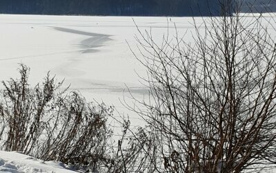 Winterwanderung zwischen Lügde und Schieder