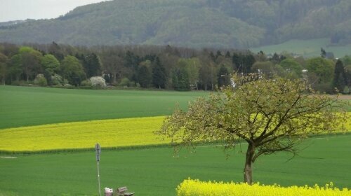 Sonnenhof - Lügde Umland