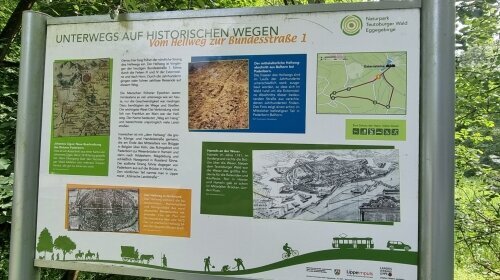 Erwandern Sie den Hermannsweg.!