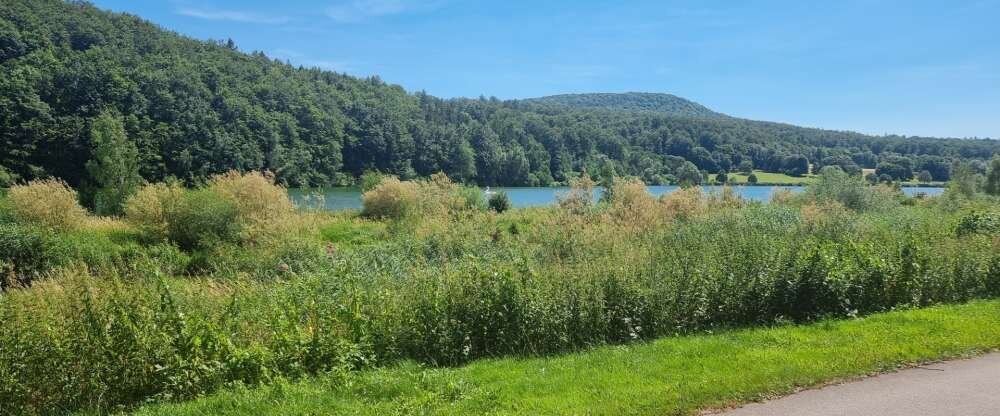 Sonnenhof - Sonstiges