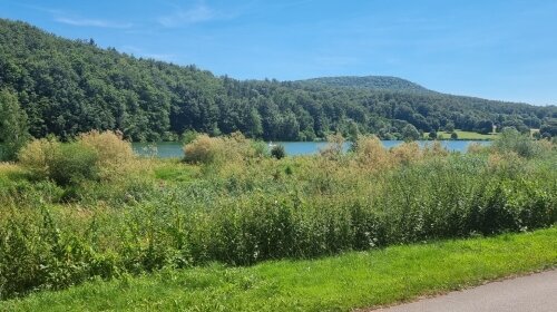 Sonnenhof - Sonstiges