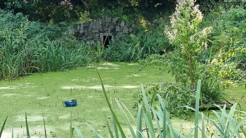 Park SCHIEDER - Nähe zum Tretbecken outdoor.