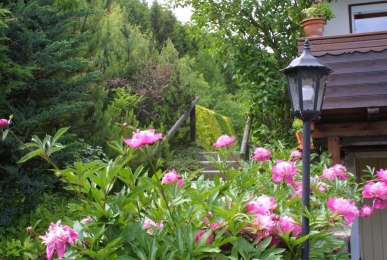 Array, Quelle: Sonnenhof-Willingen