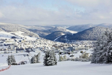 Array, Quelle: Sonnenhof-Willingen