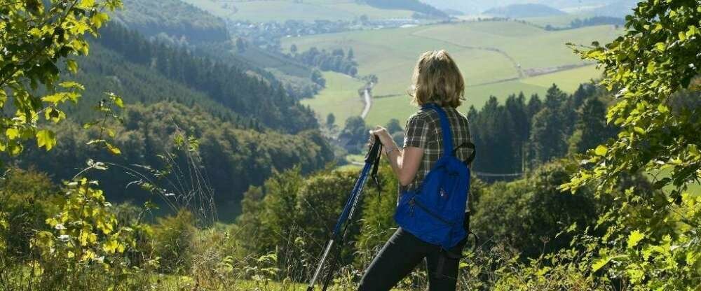 Sonnenhof-Willingen - Umgebung